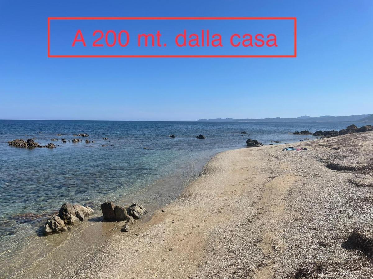 Villa Gegi Budoni Εξωτερικό φωτογραφία