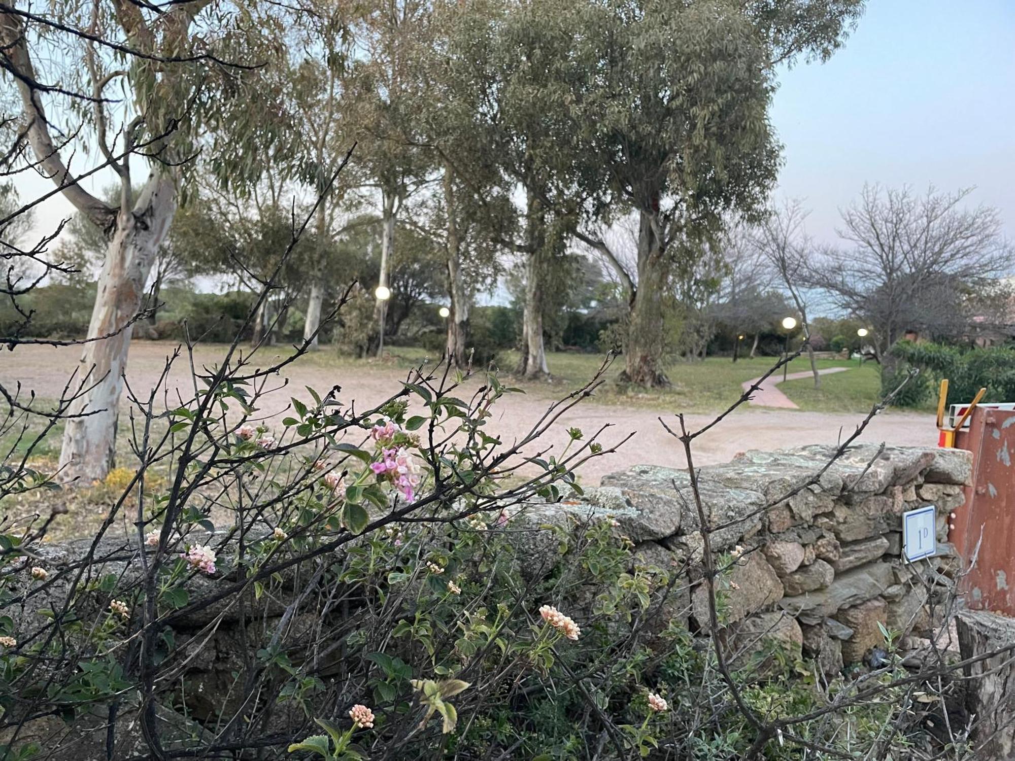 Villa Gegi Budoni Εξωτερικό φωτογραφία
