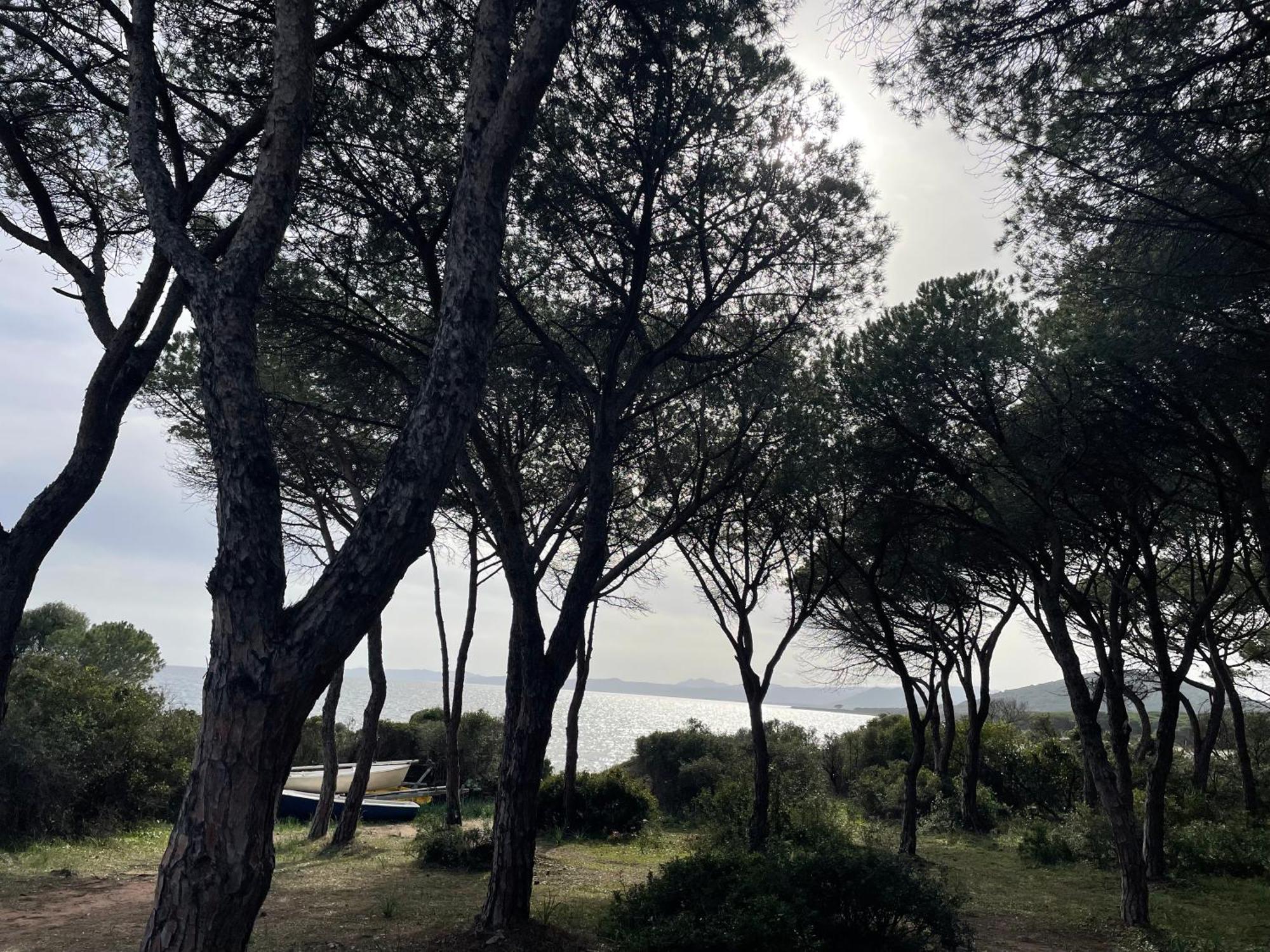 Villa Gegi Budoni Εξωτερικό φωτογραφία